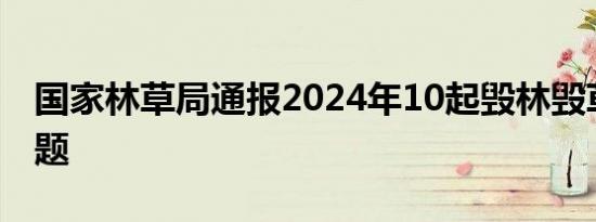 国家林草局通报2024年10起毁林毁草典型问题