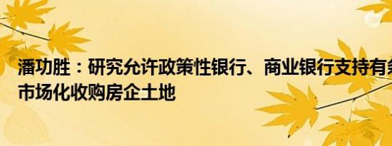 潘功胜：研究允许政策性银行、商业银行支持有条件的企业市场化收购房企土地