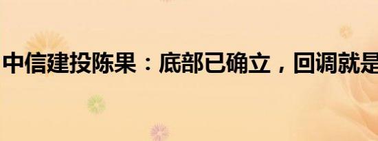 中信建投陈果：底部已确立，回调就是给机会