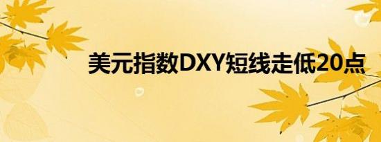 美元指数DXY短线走低20点