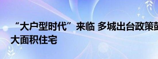 “大户型时代”来临 多城出台政策鼓励购买大面积住宅