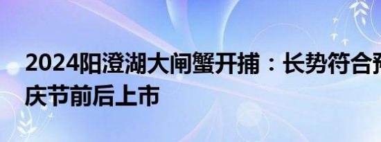 2024阳澄湖大闸蟹开捕：长势符合预期，国庆节前后上市