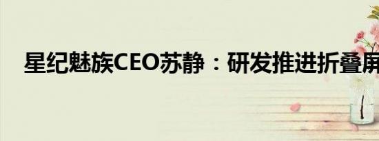 星纪魅族CEO苏静：研发推进折叠屏手机