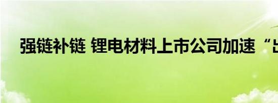 强链补链 锂电材料上市公司加速“出海”