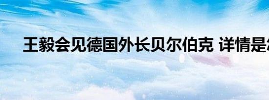 王毅会见德国外长贝尔伯克 详情是怎样