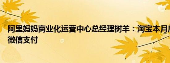 阿里妈妈商业化运营中心总经理树羊：淘宝本月底全面接通微信支付