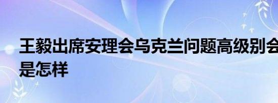 王毅出席安理会乌克兰问题高级别会议 详情是怎样