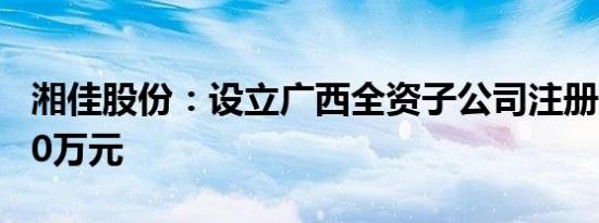 湘佳股份：设立广西全资子公司注册资本2000万元