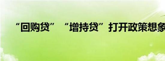 “回购贷”“增持贷”打开政策想象空间