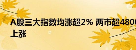 A股三大指数均涨超2% 两市超4800家个股上涨