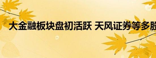 大金融板块盘初活跃 天风证券等多股涨停