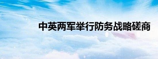 中英两军举行防务战略磋商