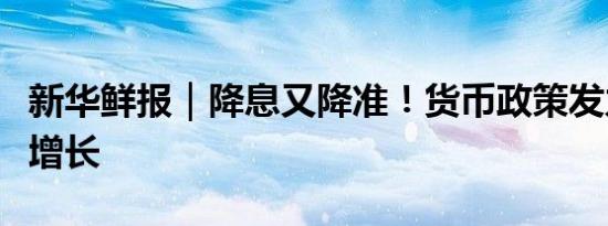 新华鲜报｜降息又降准！货币政策发力支持稳增长