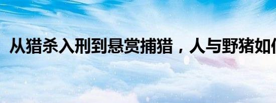 从猎杀入刑到悬赏捕猎，人与野猪如何共处