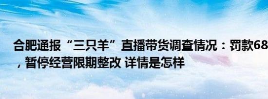 合肥通报“三只羊”直播带货调查情况：罚款6894.91万元，暂停经营限期整改 详情是怎样