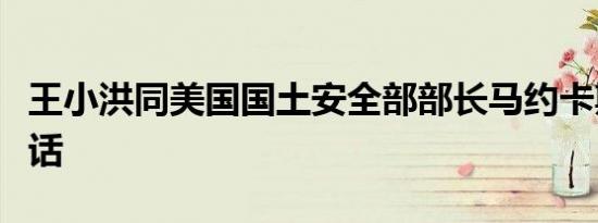 王小洪同美国国土安全部部长马约卡斯视频通话