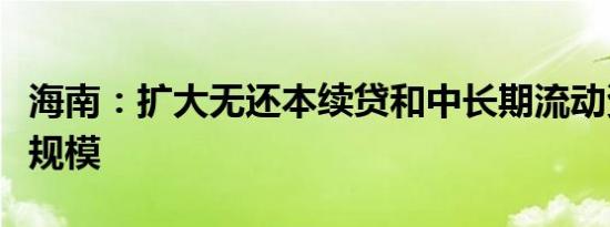 海南：扩大无还本续贷和中长期流动资金贷款规模