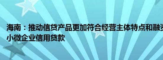 海南：推动信贷产品更加符合经营主体特点和融资需求 推广小微企业信用贷款