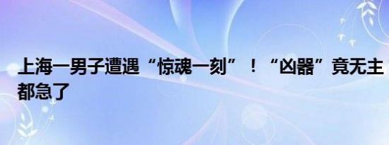 上海一男子遭遇“惊魂一刻”！“凶器”竟无主？整个小区都急了