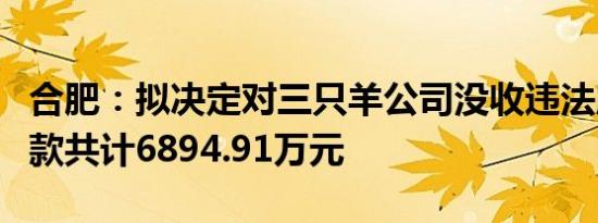 合肥：拟决定对三只羊公司没收违法所得、罚款共计6894.91万元