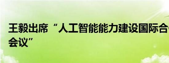 王毅出席“人工智能能力建设国际合作高级别会议”