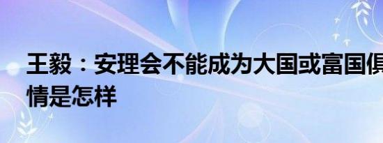 王毅：安理会不能成为大国或富国俱乐部 详情是怎样