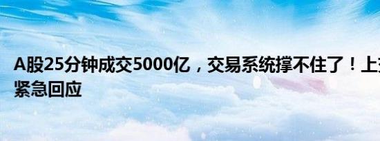 A股25分钟成交5000亿，交易系统撑不住了！上交所、券商紧急回应