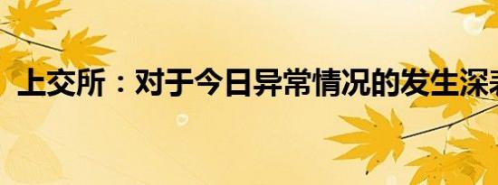 上交所：对于今日异常情况的发生深表歉意