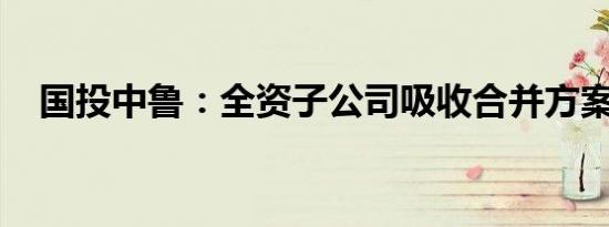 国投中鲁：全资子公司吸收合并方案获批