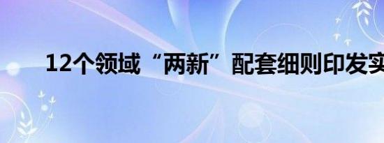 12个领域“两新”配套细则印发实施