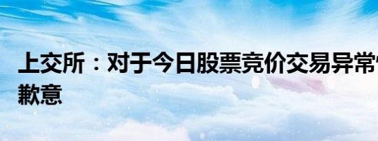 上交所：对于今日股票竞价交易异常情况深表歉意