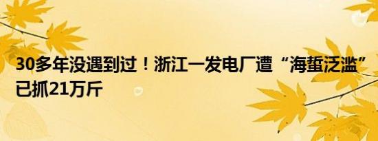 30多年没遇到过！浙江一发电厂遭“海蜇泛滥”：日夜奋战已抓21万斤