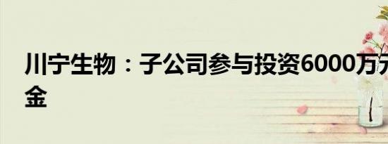 川宁生物：子公司参与投资6000万元产业基金