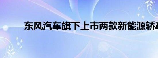 东风汽车旗下上市两款新能源轿车