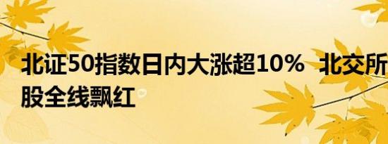 北证50指数日内大涨超10%  北交所253只个股全线飘红