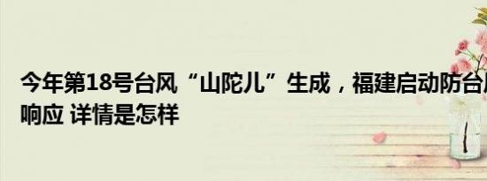 今年第18号台风“山陀儿”生成，福建启动防台风Ⅳ级应急响应 详情是怎样