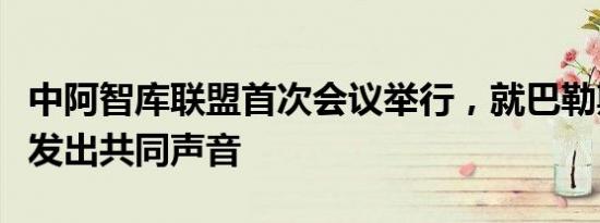 中阿智库联盟首次会议举行，就巴勒斯坦问题发出共同声音