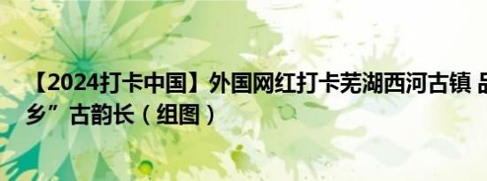 【2024打卡中国】外国网红打卡芜湖西河古镇 品“江南水乡”古韵长（组图）