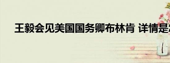 王毅会见美国国务卿布林肯 详情是怎样