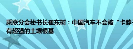 乘联分会秘书长崔东树：中国汽车不会被“卡脖子”，我们有超强的土壤根基