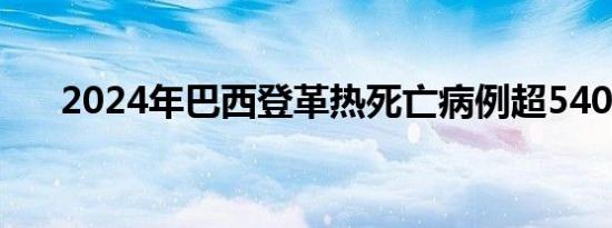 2024年巴西登革热死亡病例超5400例