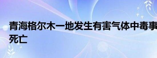 青海格尔木一地发生有害气体中毒事件致6人死亡