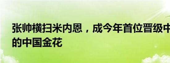 张帅横扫米内恩，成今年首位晋级中网16强的中国金花