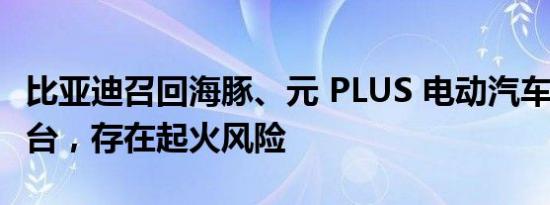 比亚迪召回海豚、元 PLUS 电动汽车近 10 万台，存在起火风险