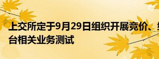 上交所定于9月29日组织开展竞价、综业等平台相关业务测试