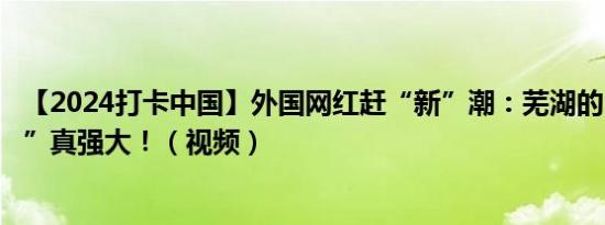 【2024打卡中国】外国网红赶“新”潮：芜湖的“创新基因”真强大！（视频）