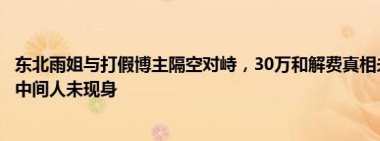 东北雨姐与打假博主隔空对峙，30万和解费真相未明，神秘中间人未现身