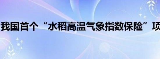 我国首个“水稻高温气象指数保险”项目落地