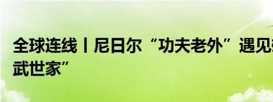 全球连线丨尼日尔“功夫老外”遇见雄安“精武世家”