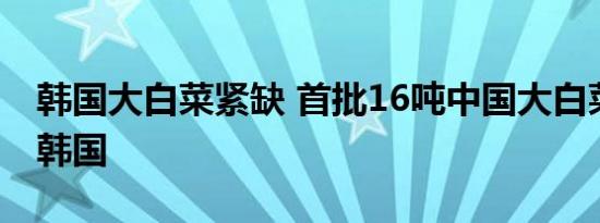 韩国大白菜紧缺 首批16吨中国大白菜已运抵韩国